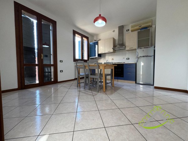 appartamento in affitto a Vigonovo