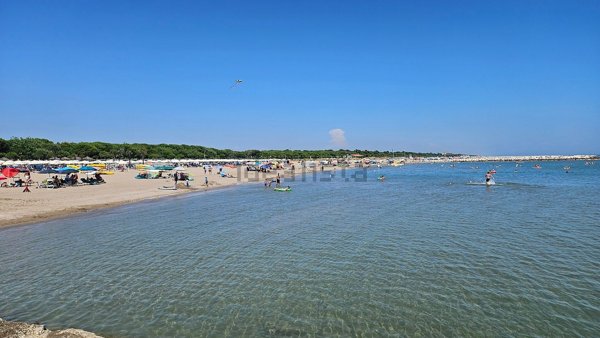 appartamento in affitto a Cavallino-Treporti in zona Ca' Savio