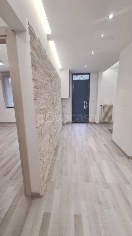 negozio in affitto ad Albignasego