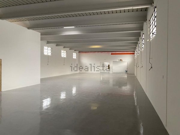 capannone in affitto ad Albignasego