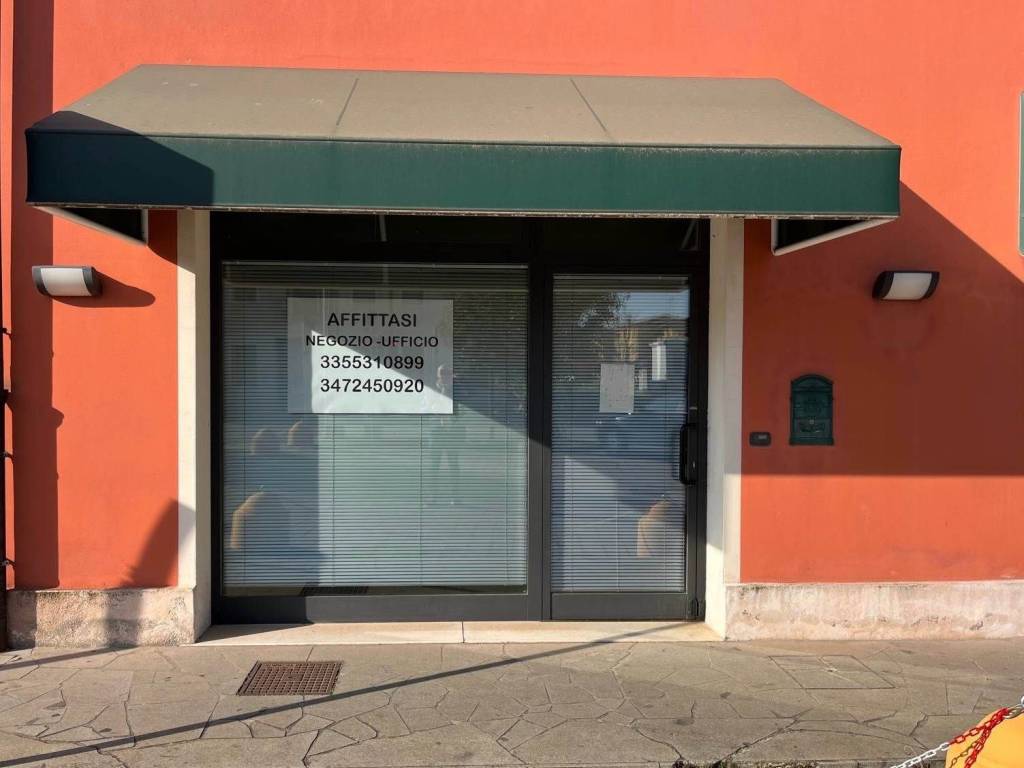 negozio in affitto ad Albignasego