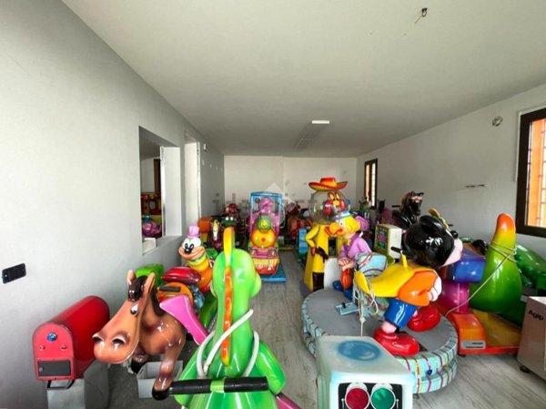 negozio in affitto ad Albignasego