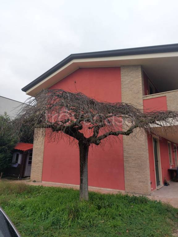 casa indipendente in affitto ad Albignasego in zona Mandriola