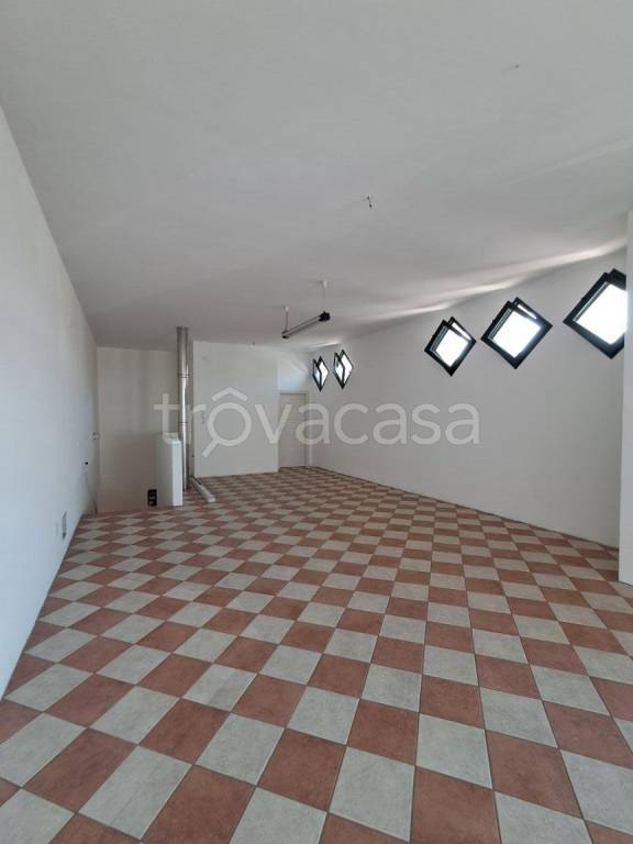 locale commerciale in affitto ad Albignasego