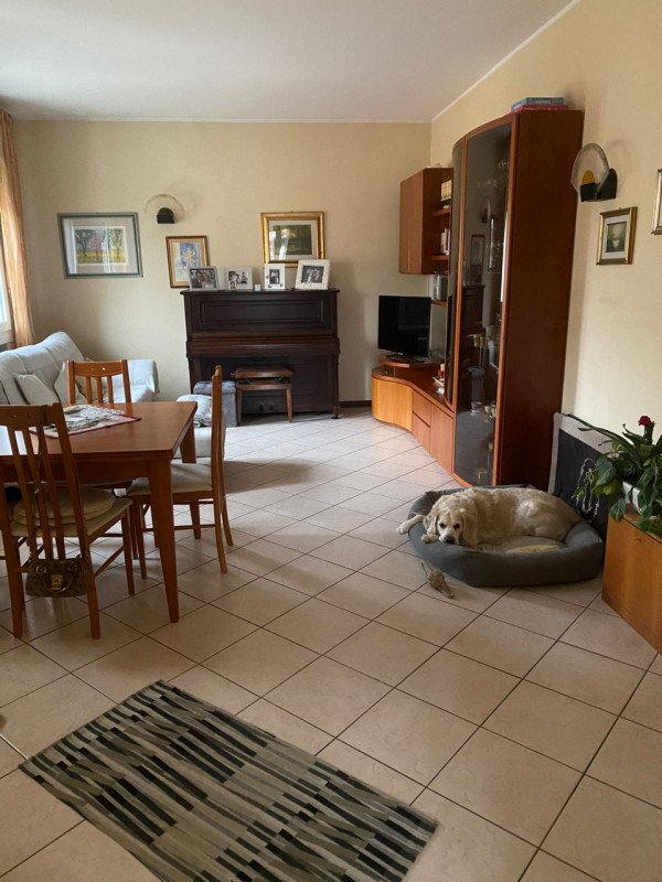 casa indipendente in affitto ad Albignasego