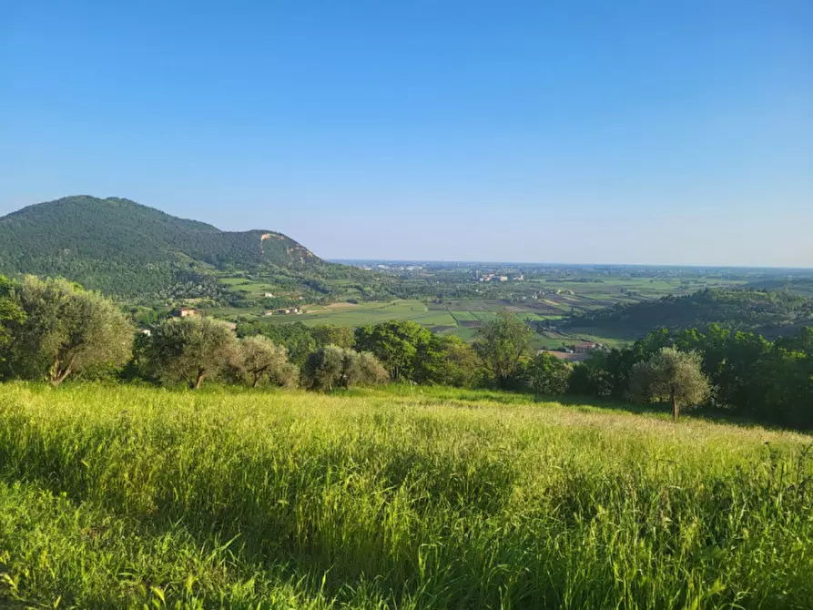 mansarda in affitto ad Arquà Petrarca
