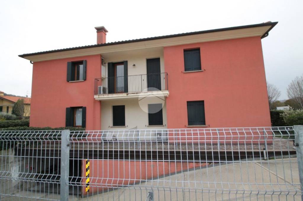 appartamento in affitto ad Arquà Petrarca