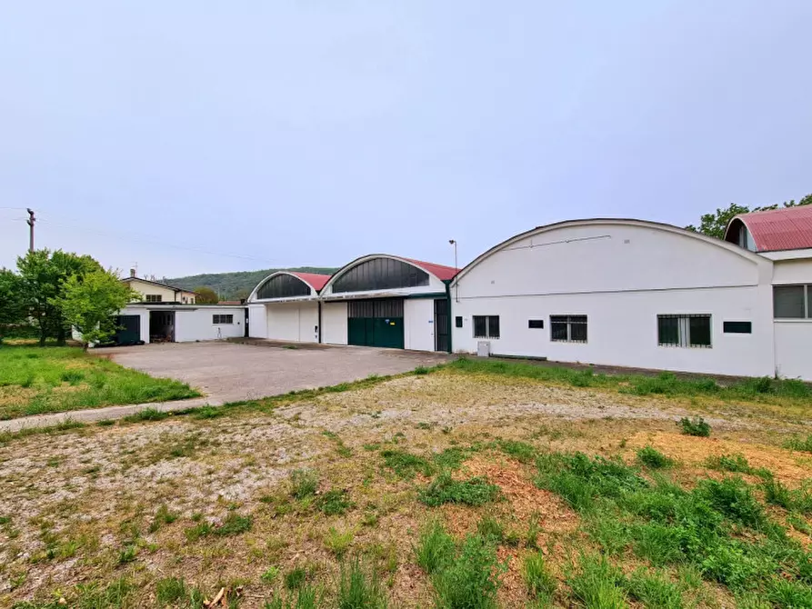 casa semindipendente in affitto a Baone