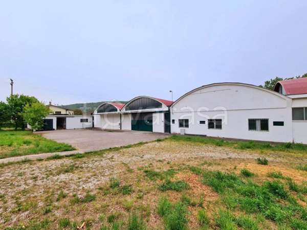 locale commerciale in affitto a Baone