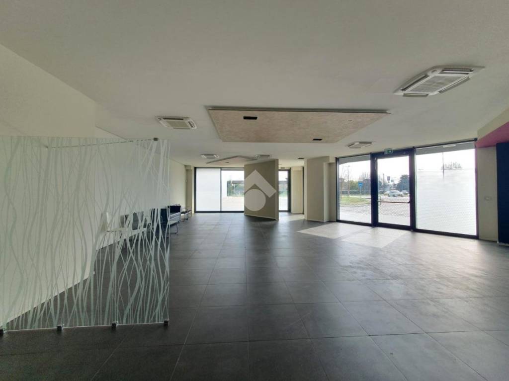 negozio in affitto a Borgoricco in zona San Michele delle Badesse