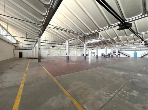 locale commerciale in affitto a Borgoricco