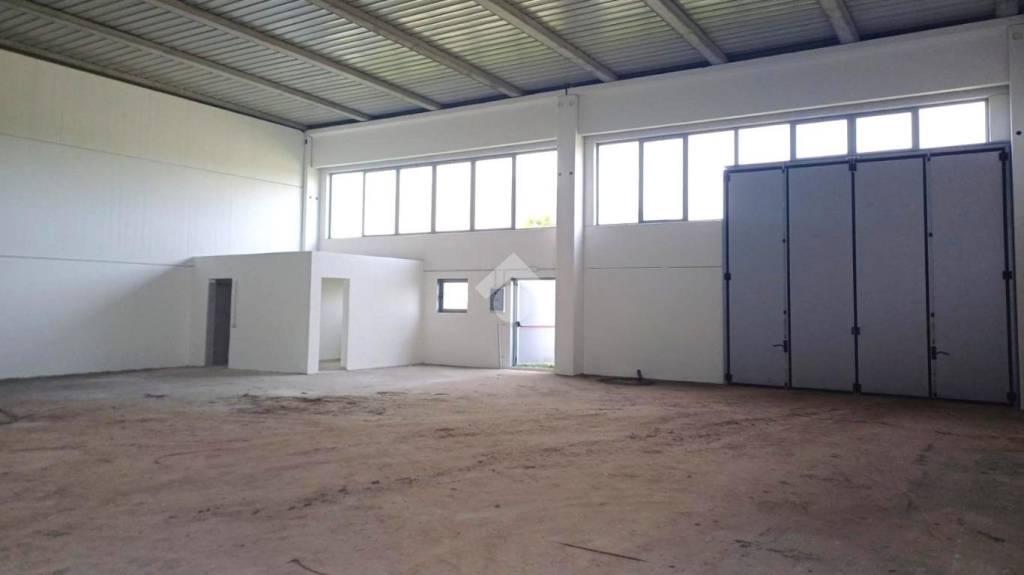locale commerciale in affitto a Bovolenta