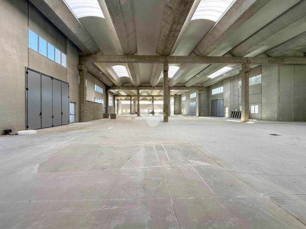 capannone in affitto a Campodarsego