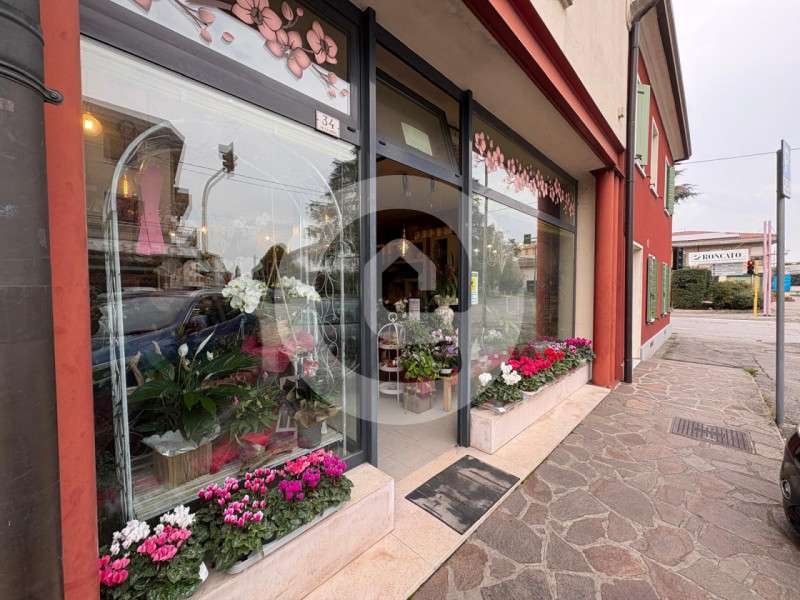 casa indipendente in affitto a Camposampiero