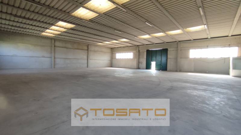 casa indipendente in affitto a Casale di Scodosia