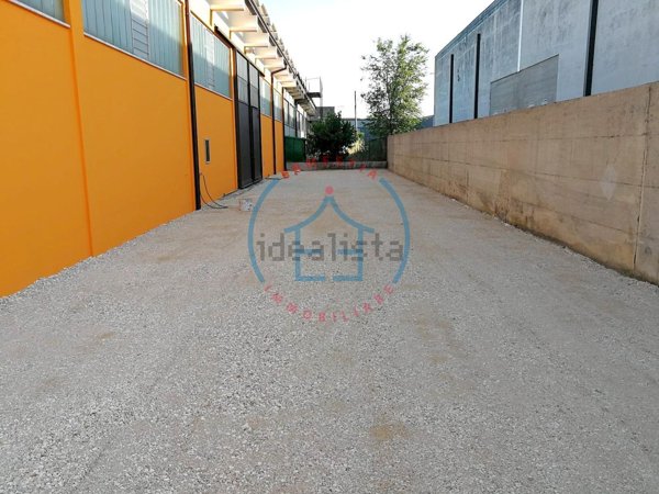 casa indipendente in affitto a Casale di Scodosia