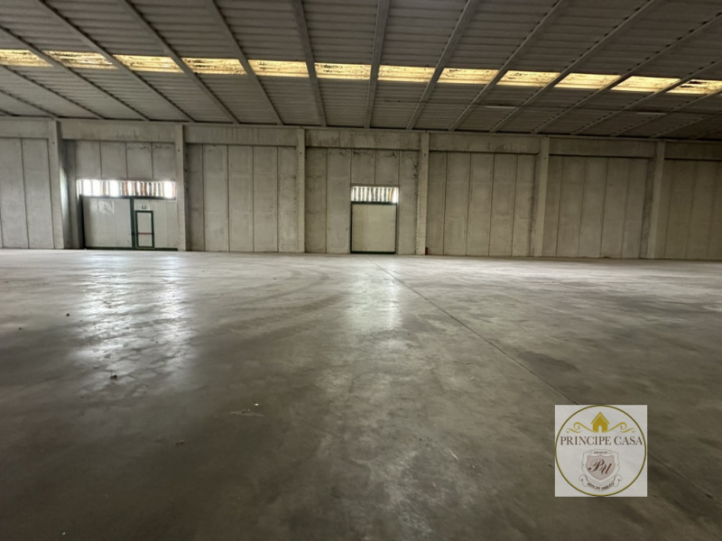 capannone in affitto a Casale di Scodosia