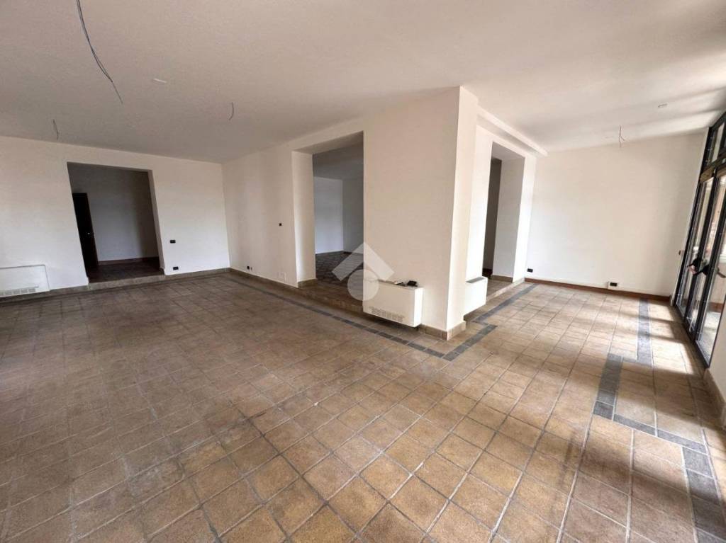 negozio in affitto a Casalserugo