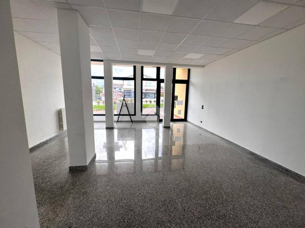 negozio in affitto a Casalserugo