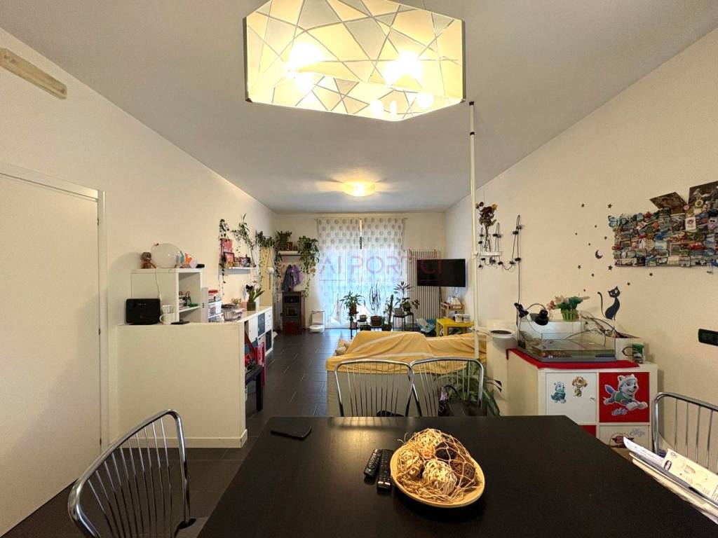 appartamento in affitto a Casalserugo