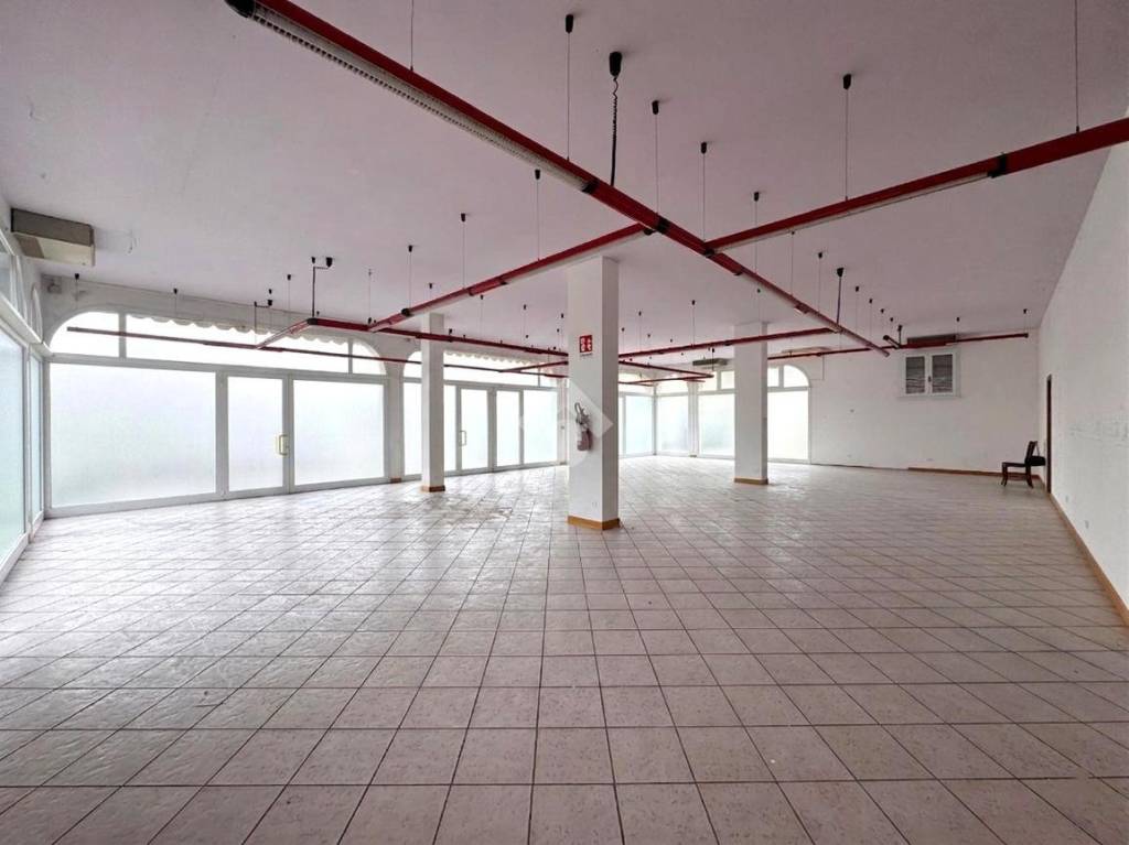 negozio in affitto a Casalserugo