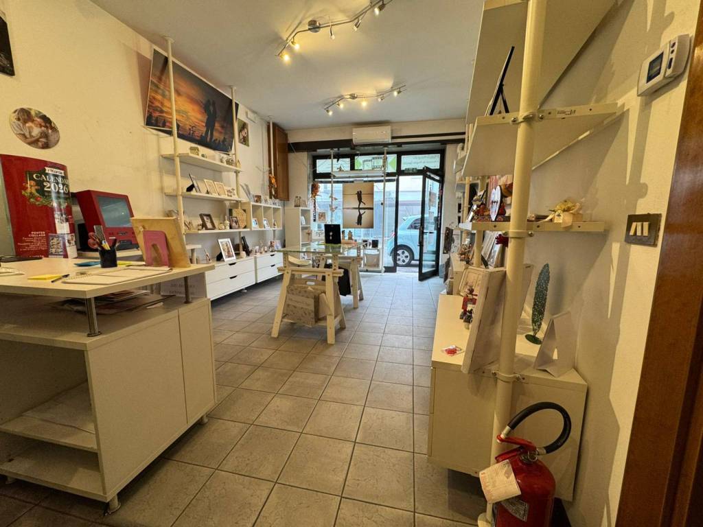 negozio in affitto a Casalserugo