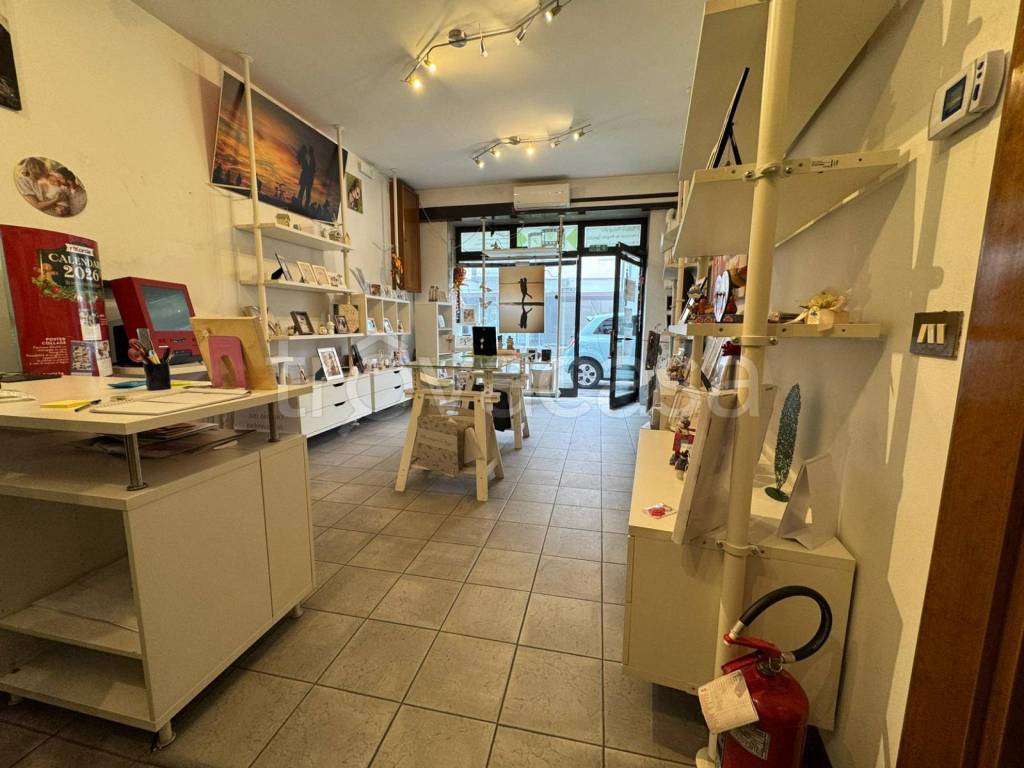 negozio in affitto a Casalserugo