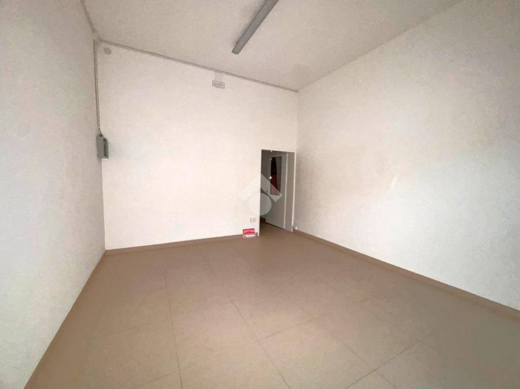 negozio in affitto a Casalserugo
