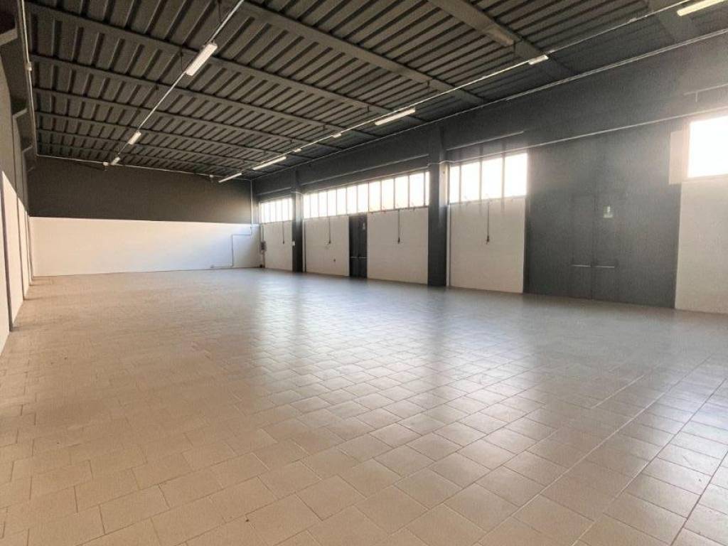 negozio in affitto a Casalserugo