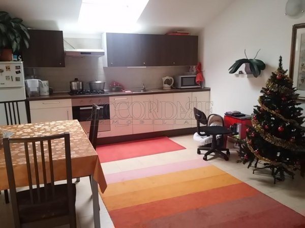 appartamento in affitto a Casalserugo