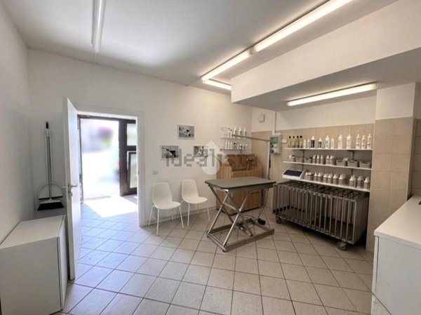 negozio in affitto a Casalserugo