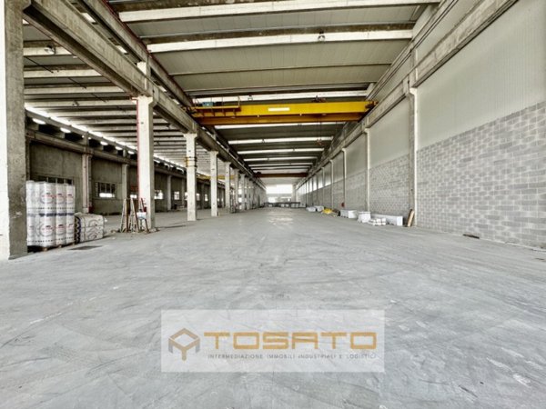 locale commerciale in affitto a Cittadella