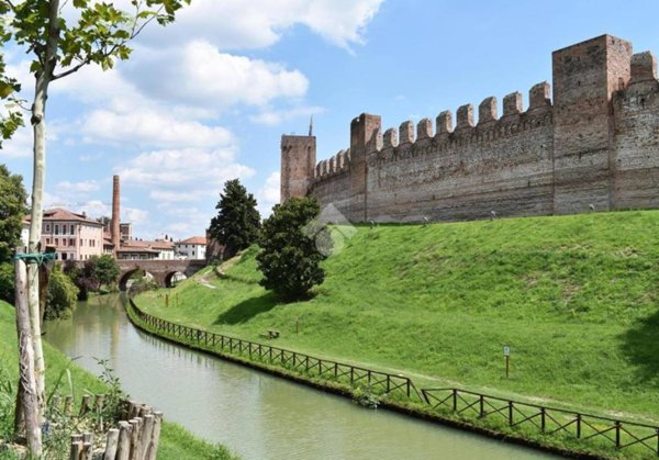 appartamento in affitto a Cittadella