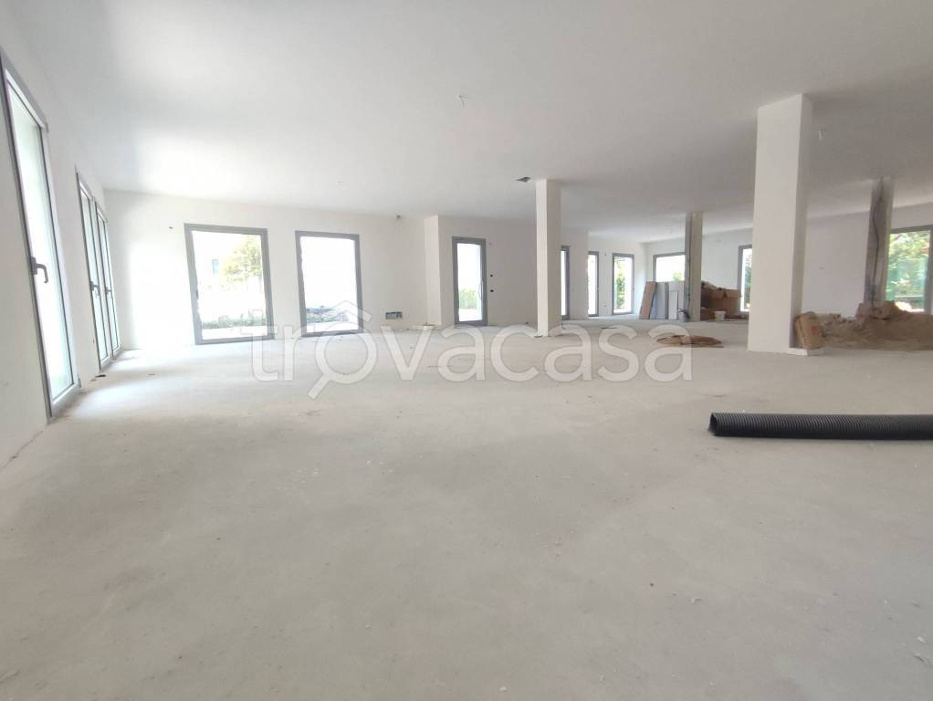 negozio in affitto a Cittadella