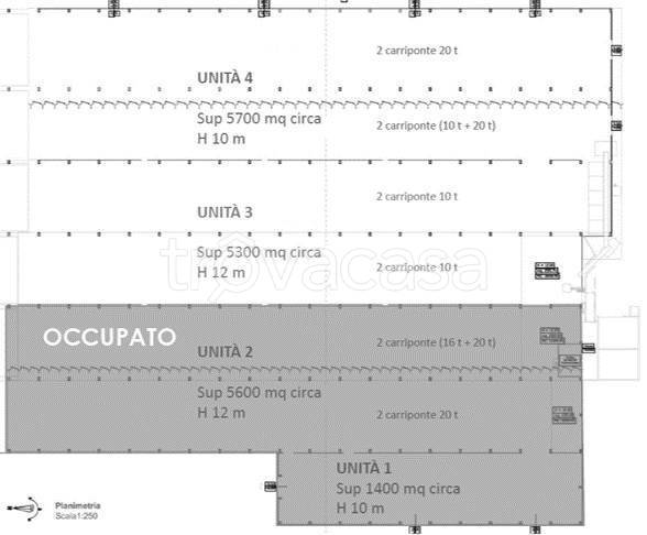 ufficio in affitto a Cittadella