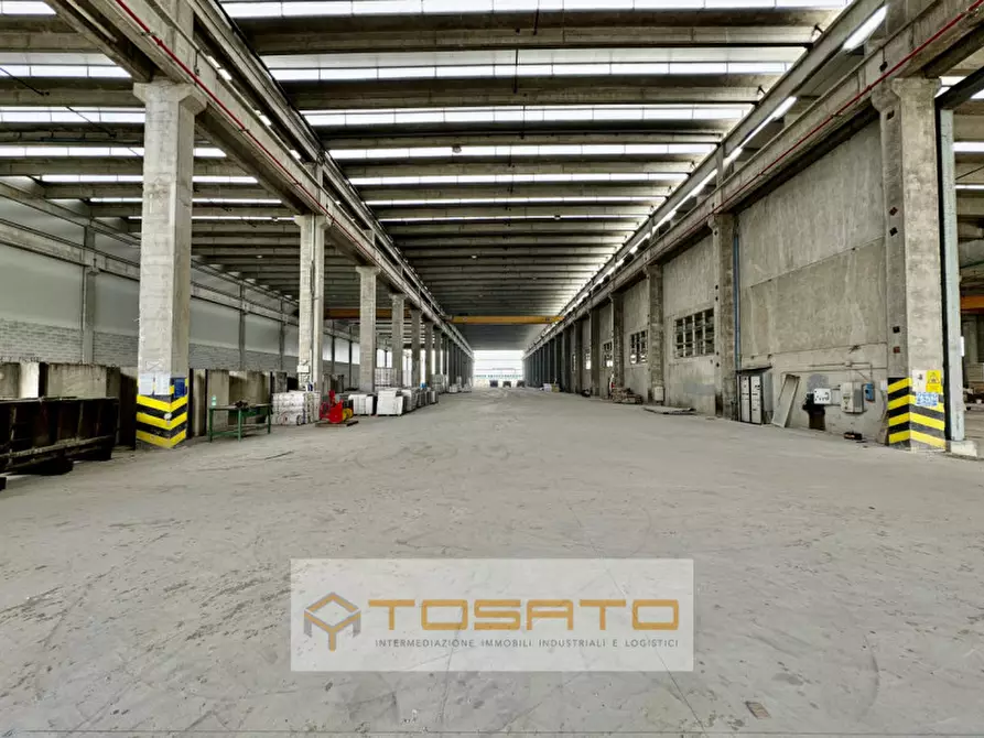 attico in affitto a Cittadella