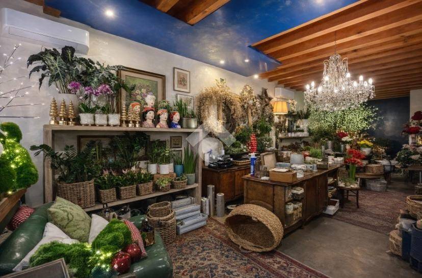 negozio in affitto a Cittadella