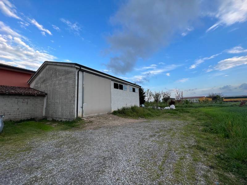 locale commerciale in affitto a Codevigo in zona Rosara