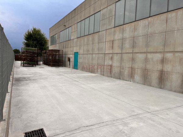 capannone in affitto a Codevigo