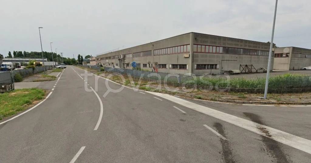 appartamento in affitto a Conselve