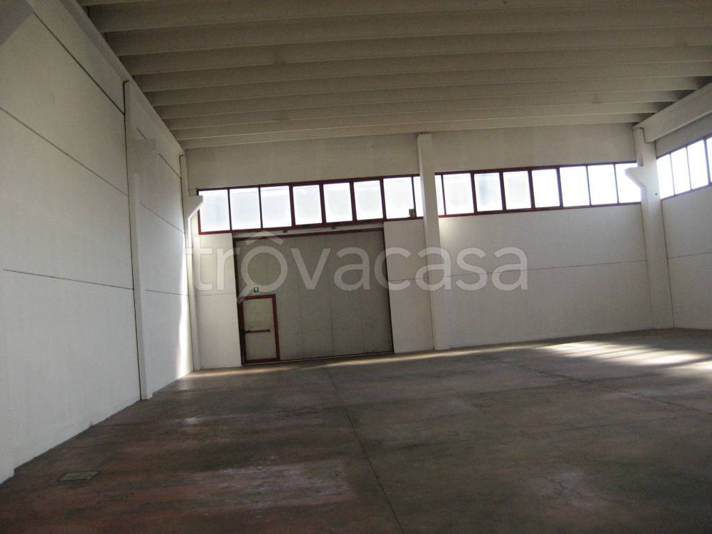 locale commerciale in affitto a Conselve