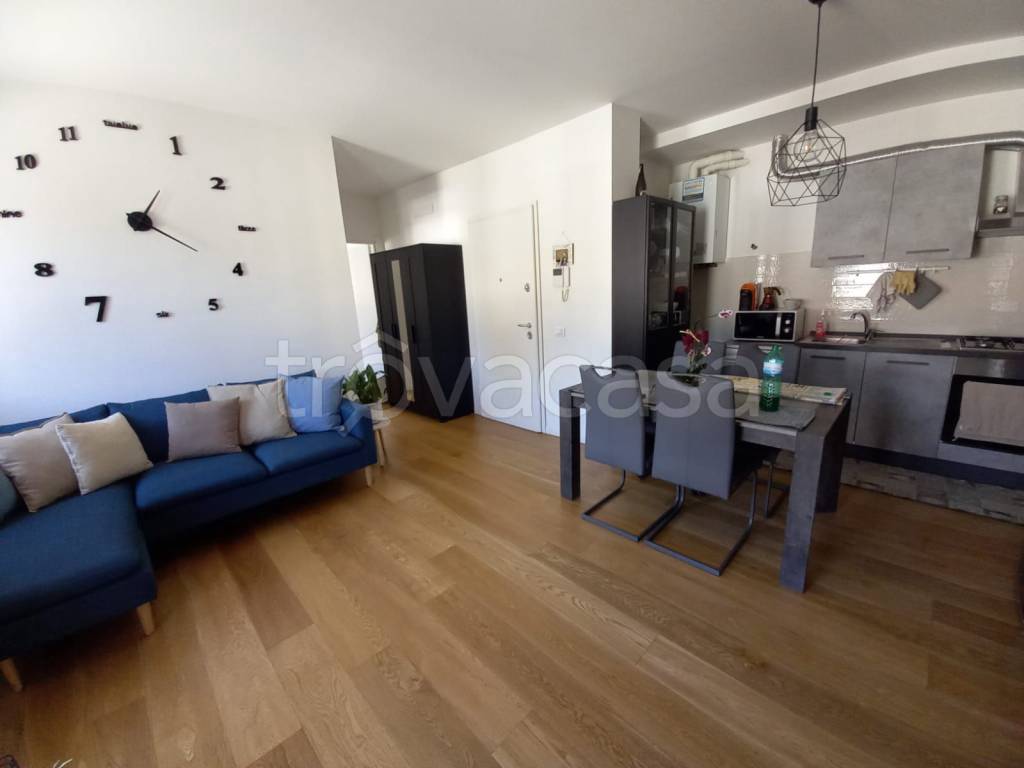 appartamento in affitto a Conselve