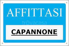 capannone in affitto ad Este