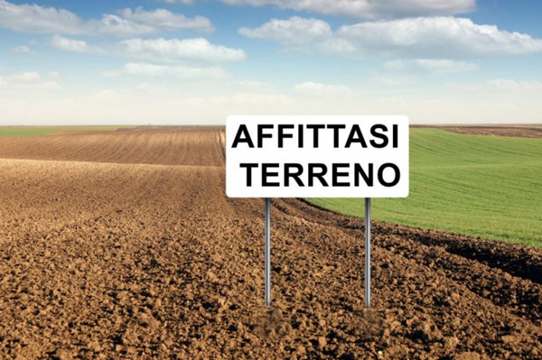 negozio in affitto ad Este