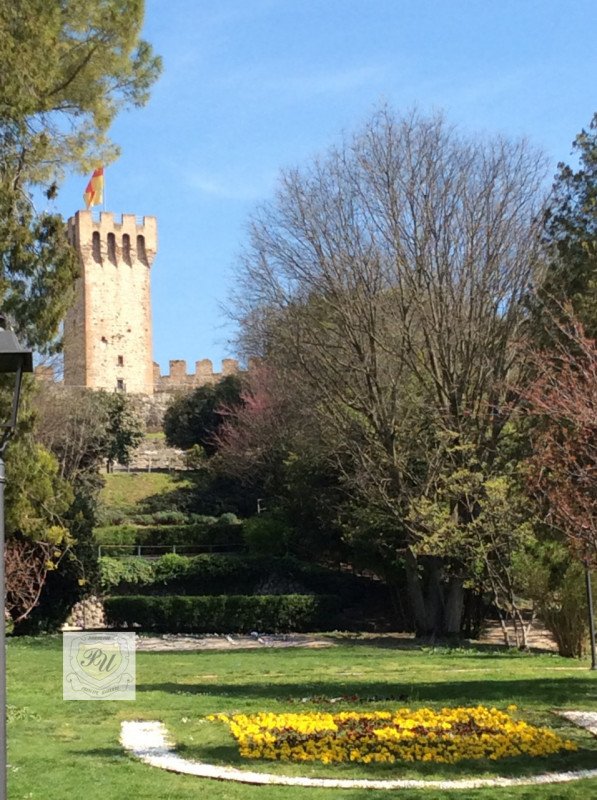 locale commerciale in affitto ad Este