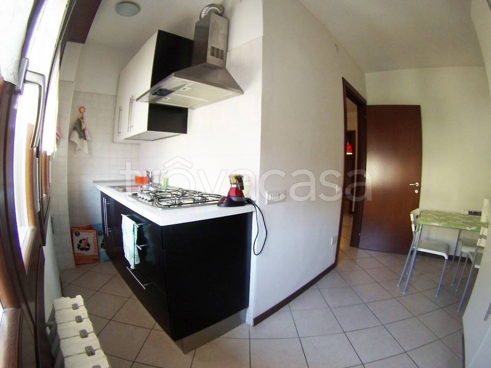 appartamento in affitto a Legnaro