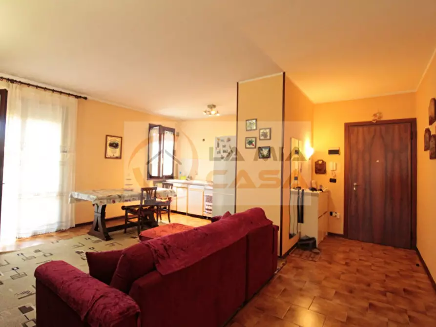 appartamento in affitto a Legnaro