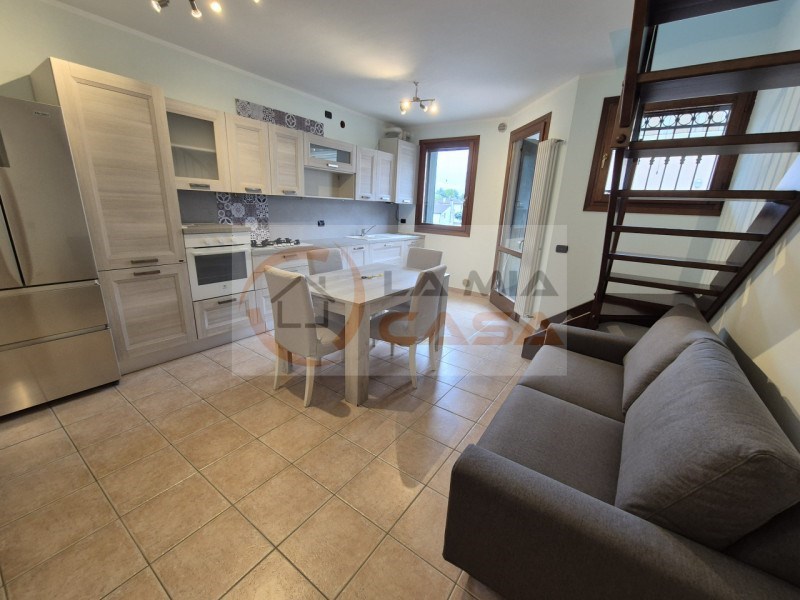 camera singola in affitto a Legnaro