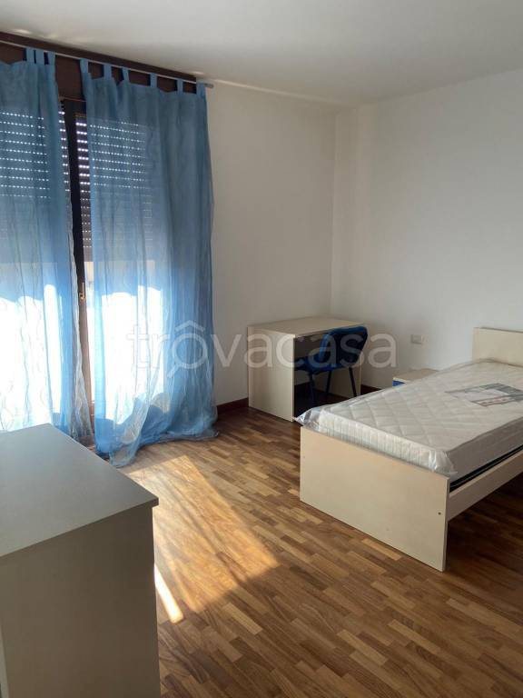 villetta a schiera in affitto a Legnaro