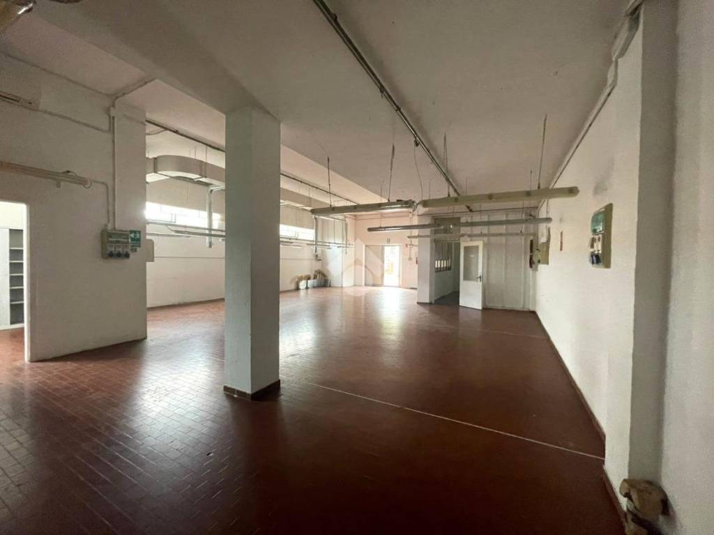 locale commerciale in affitto a Legnaro